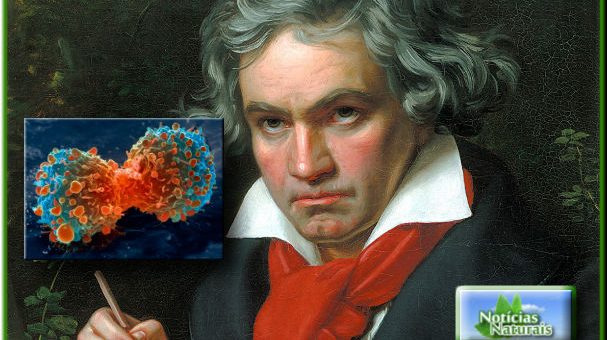 Células tumorais expostas à ‘Quinta Sinfonia’, de Beethoven, perderam tamanho ou morreram